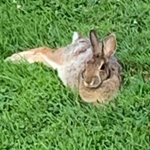 Meet your Posher, Jill